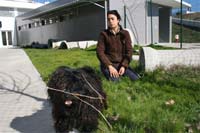 “Cães de ninguém” adoptados pelo Facebook