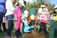 Crianças plantam árvores