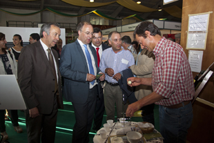 Música e negócios na Feira de S. Pedro
