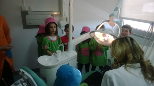 Projecto reduz cáries dentárias nas crianças