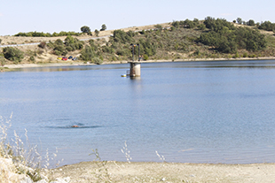 Jovem em estado crítico