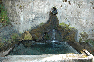 Termas de S. Lourenço já têm estudo médico aprovado