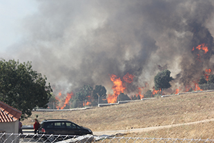 Incêndio consome 190 hectares de mato e floresta