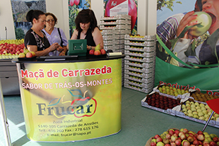 Faltam apoios para o sector agrícola