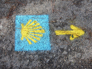 Levantamento para valorizar Caminhos de Santiago