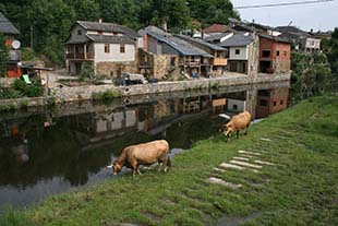 Turismo desorganizado no Nordeste