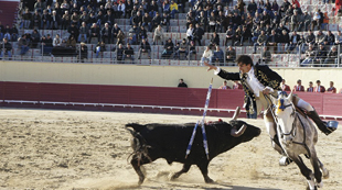 Proposta para acabar com touradas