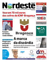 Edição PDF 951