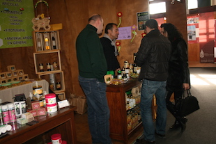 Macedo de Cavaleiros promove o mel