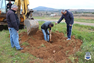 Carviçais ficou mais arborizado
