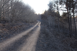 Incêndios fustigam freguesia do Parâmio