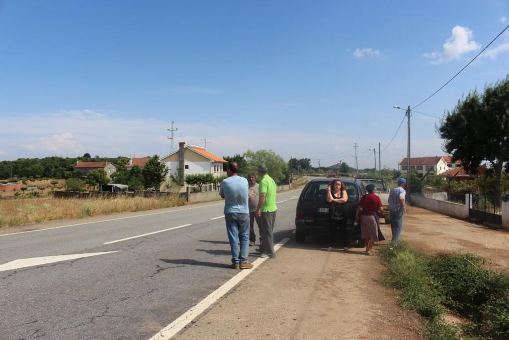 Atropelamento de animais traz à tona reivindicação antiga da população em Paçó