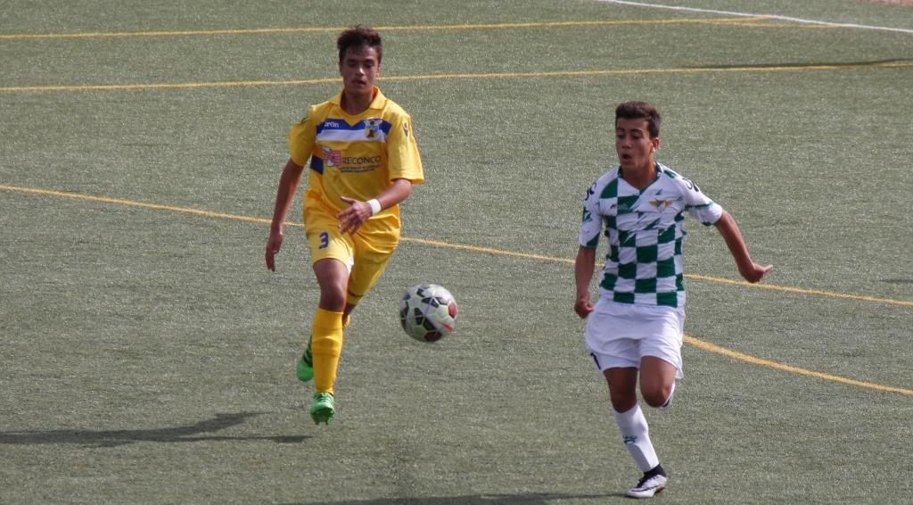 Brigantinos em adaptação ao nacional