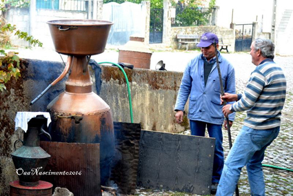 Bagaço é aguardente