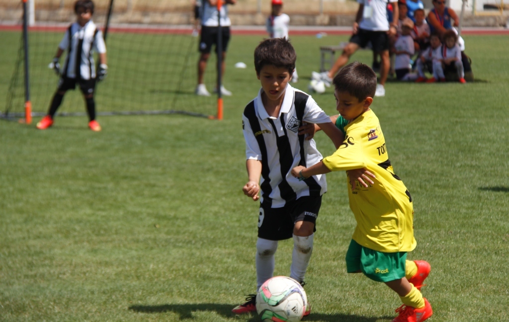 Cerca de 250 petizes e traquinas em Macedo de Cavaleiros