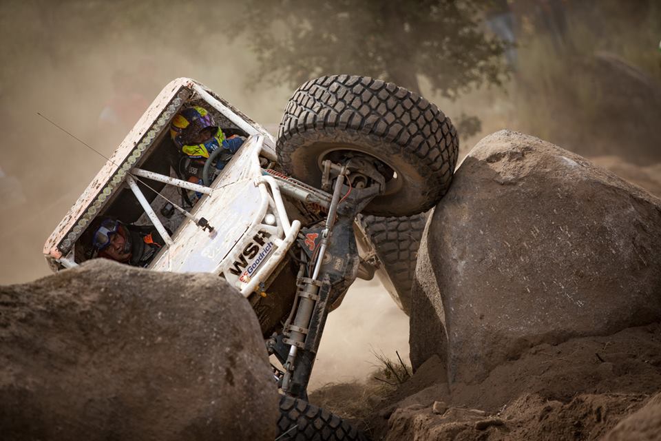 King of Portugal com novidades na edição deste ano