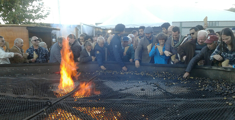 Magustão em dia de S. Martinho