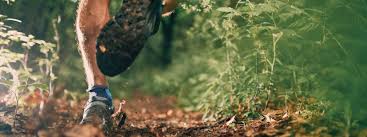 São Julião recebe Campeonato Distrital de Trail