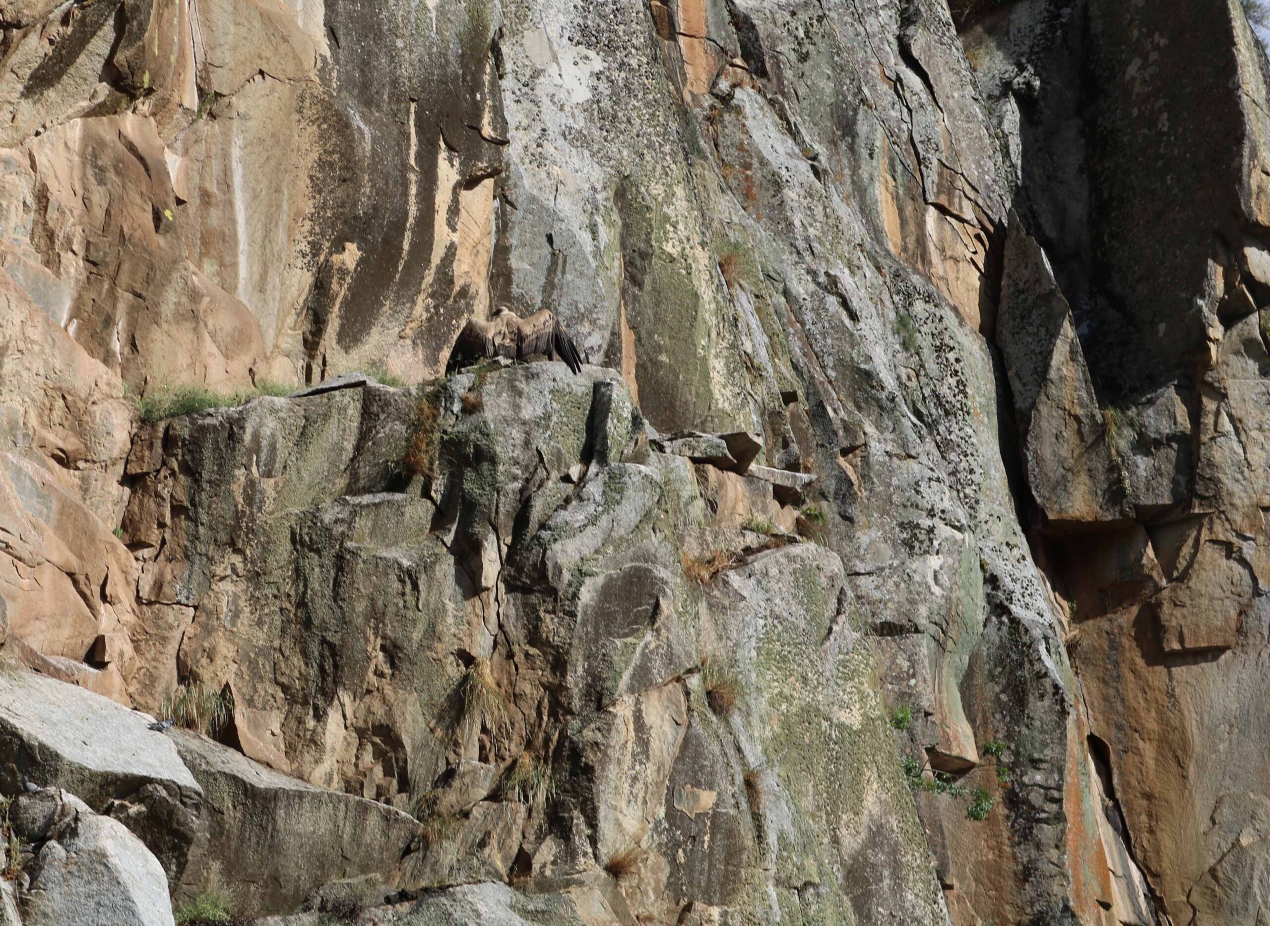 Festival para observar aves, celebrar a natureza e as tradições