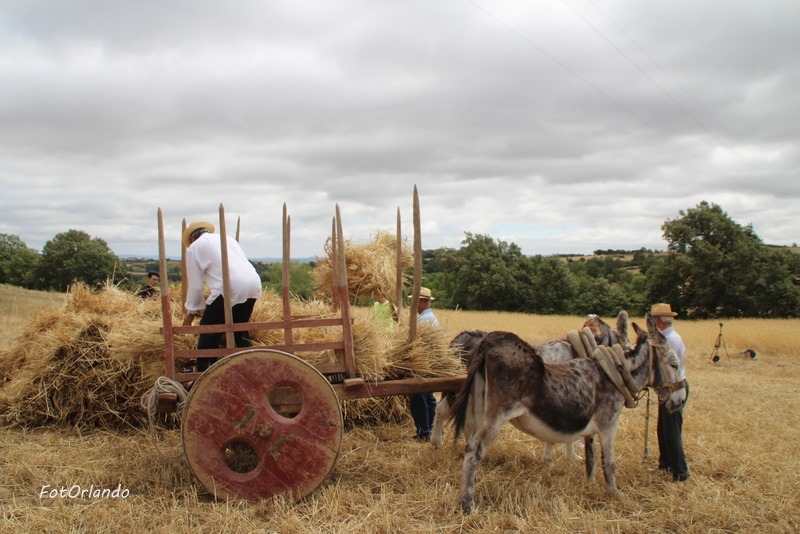 Estamos em Agosto com muito gosto