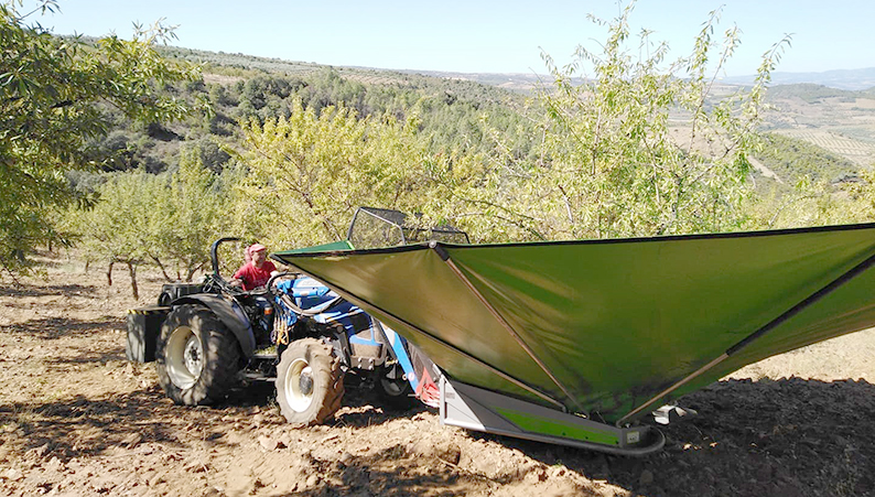 A faina da apanha da amêndoa