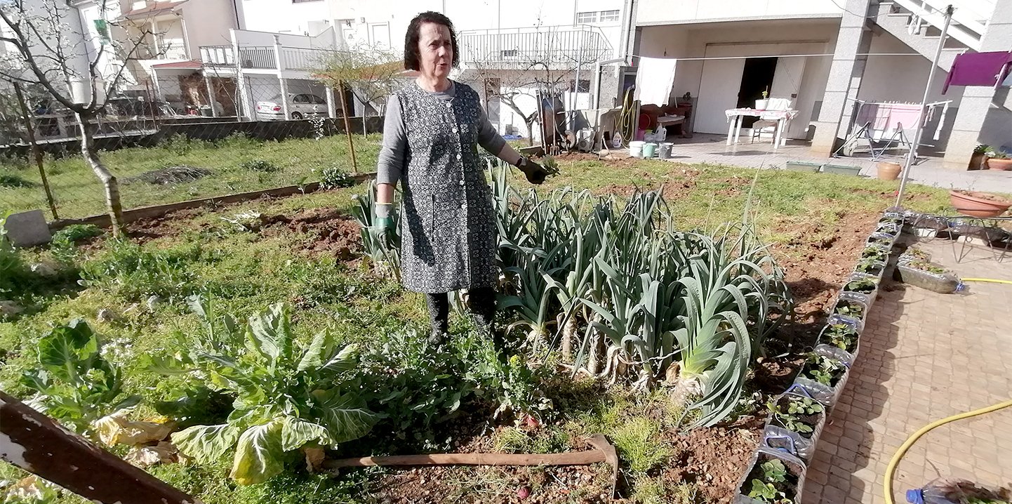 Reciclar garrafões para ganhar morangal