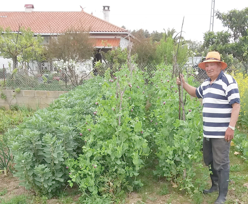 O super quintal do Tio João da Torre