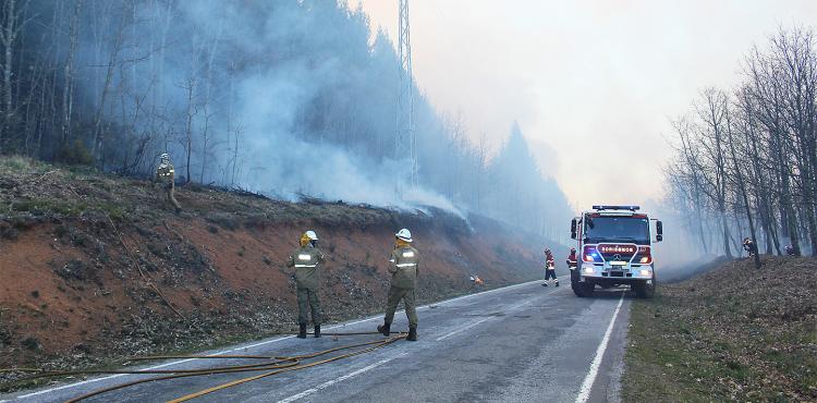 Distrito de Bragança com mais de 500 operacionais na fase mais crítica de incêndios