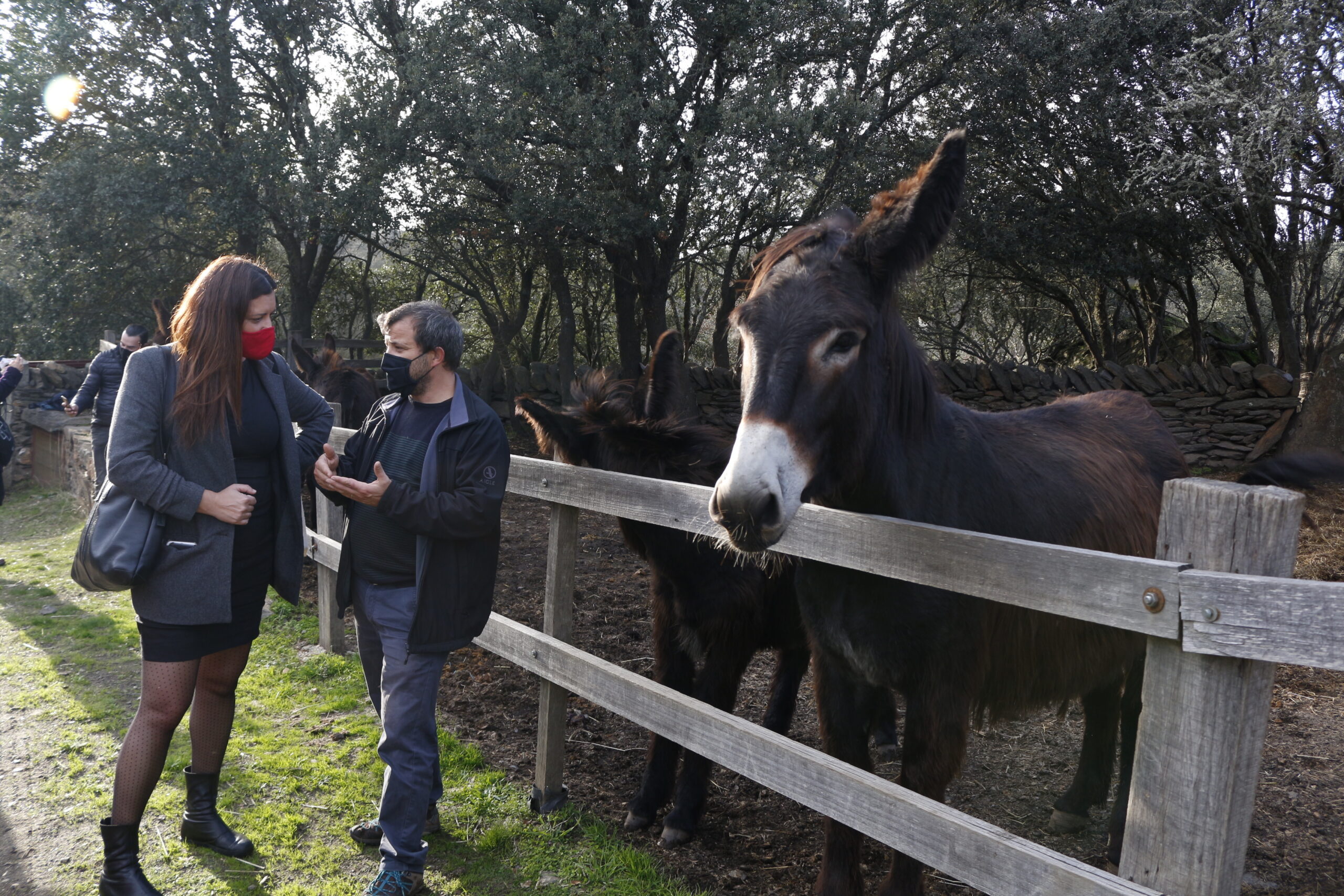 Marisa Matias defende modelo de desenvolvimento que não esqueça nenhuma região