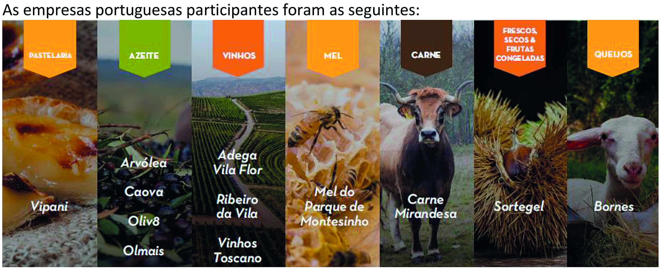 NERBA promove evento empresarial virtual para negócios internacionais a empresas de Trás-os-Montes