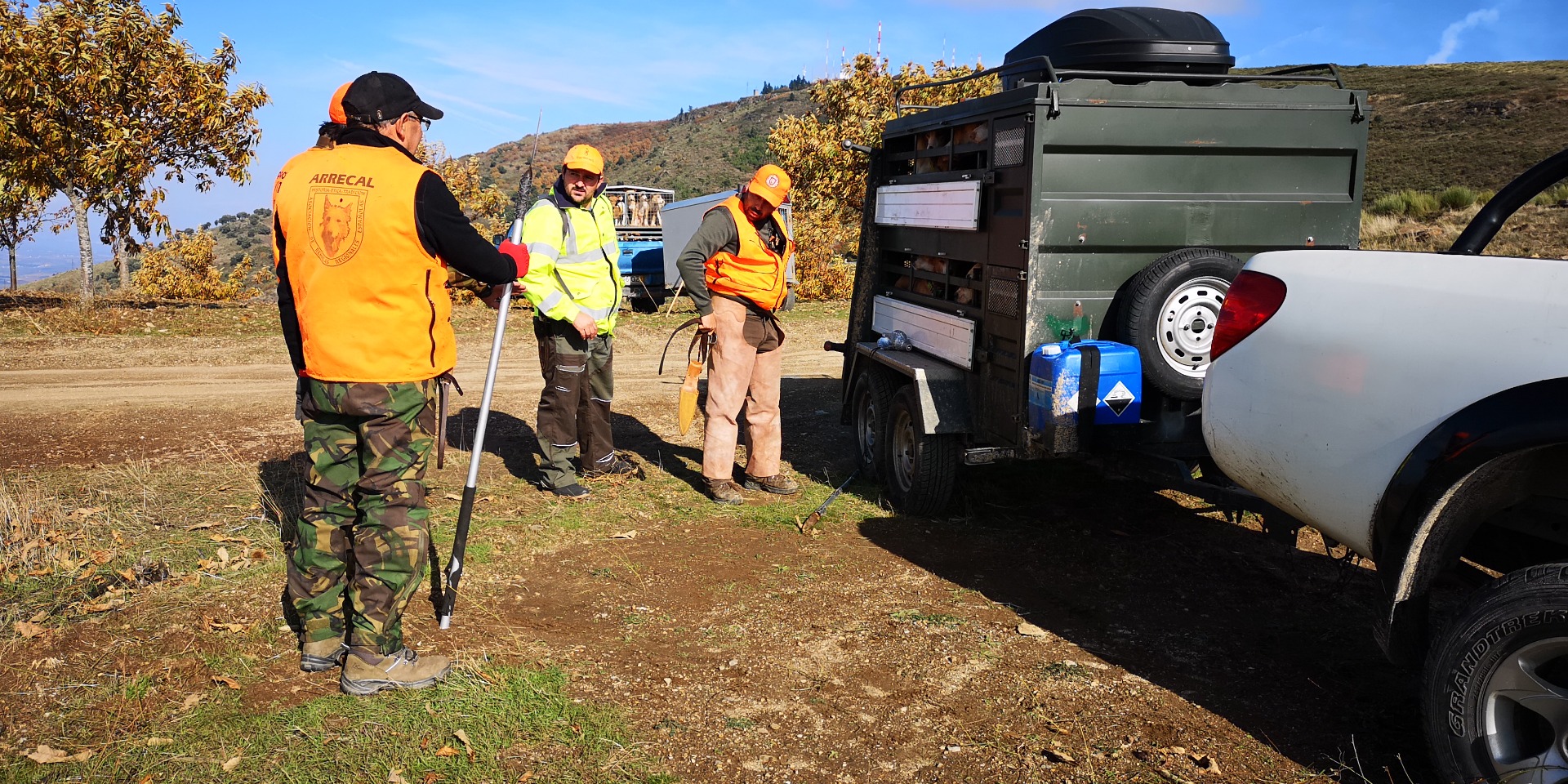 Acções de correcção de densidade de javalis contestadas por caçadores