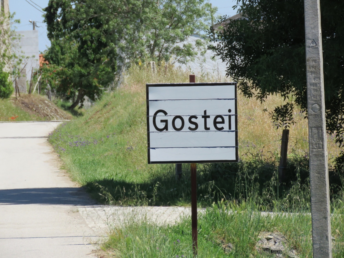 Empresa de água em Gostei instalada até ao fim do próximo ano