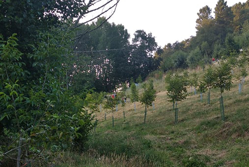 Câmara de Vinhais e IPB decretam luto pela morte de bombeiros