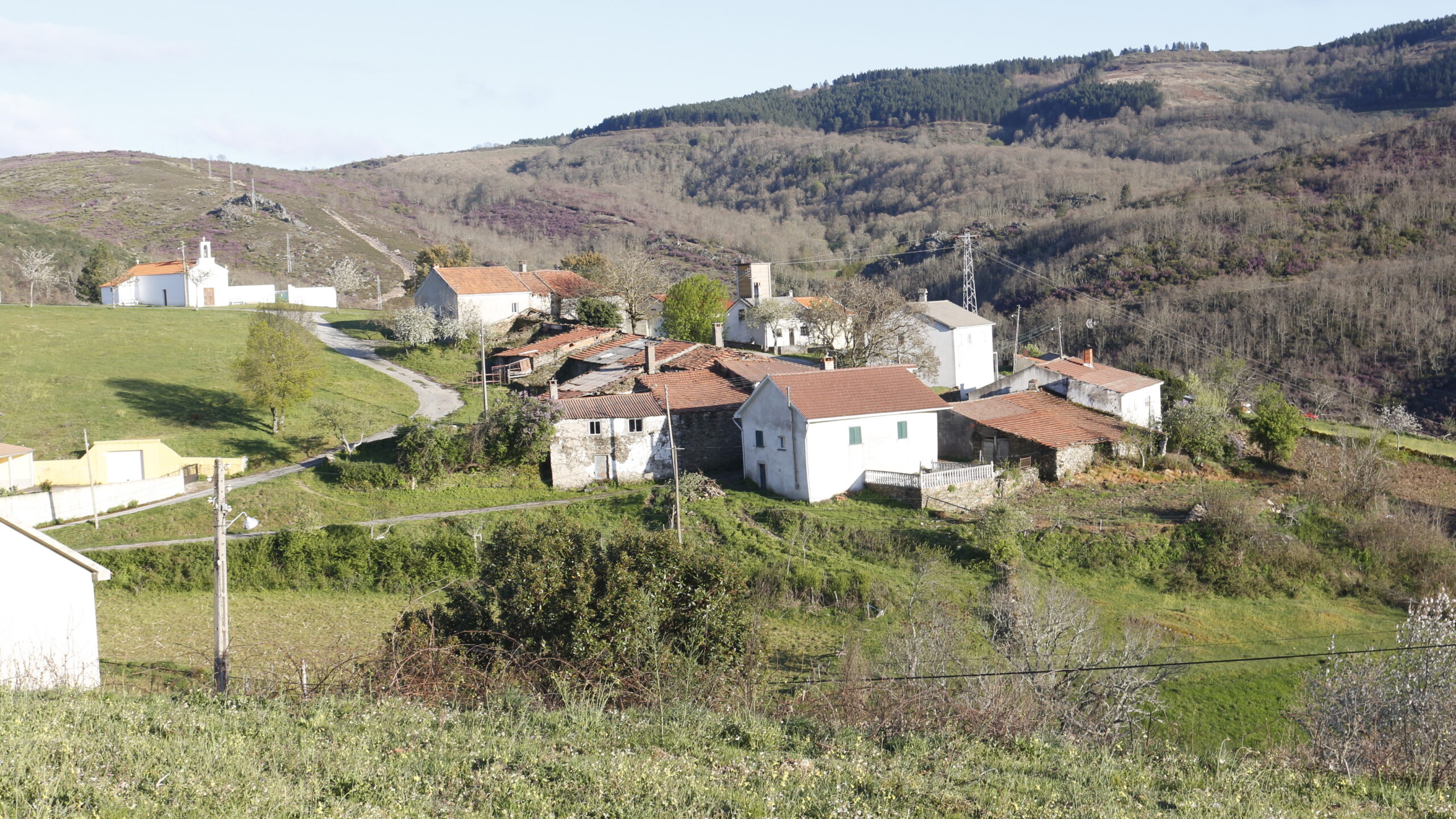 Distrito perdeu mais de 13 mil pessoas em dez anos e autarcas culpam políticas centrais