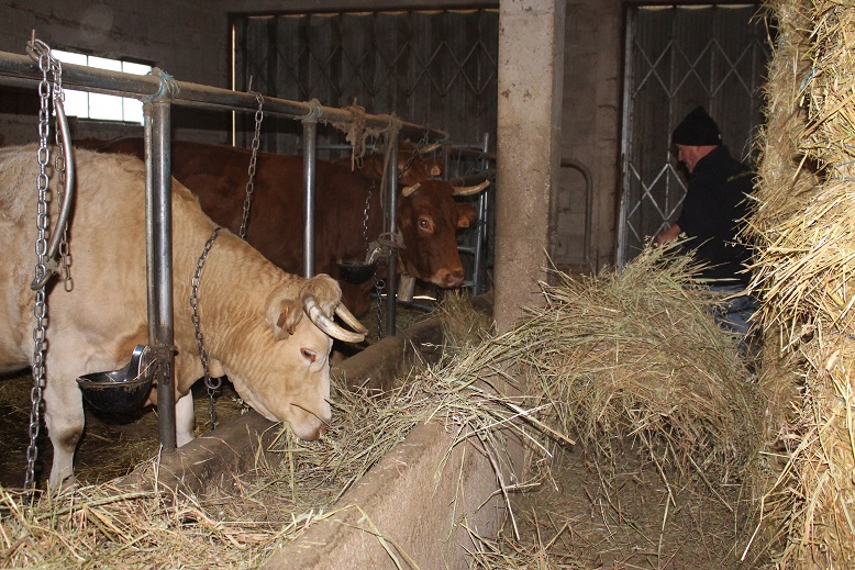 Aumento brusco dos preços dos produtos agrícolas põe em causa actividade dos pequenos agricultores
