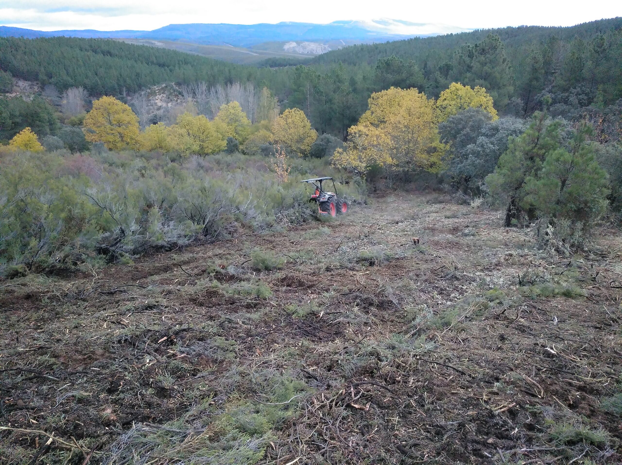 GNR já está a fiscalizar limpeza dos terrenos