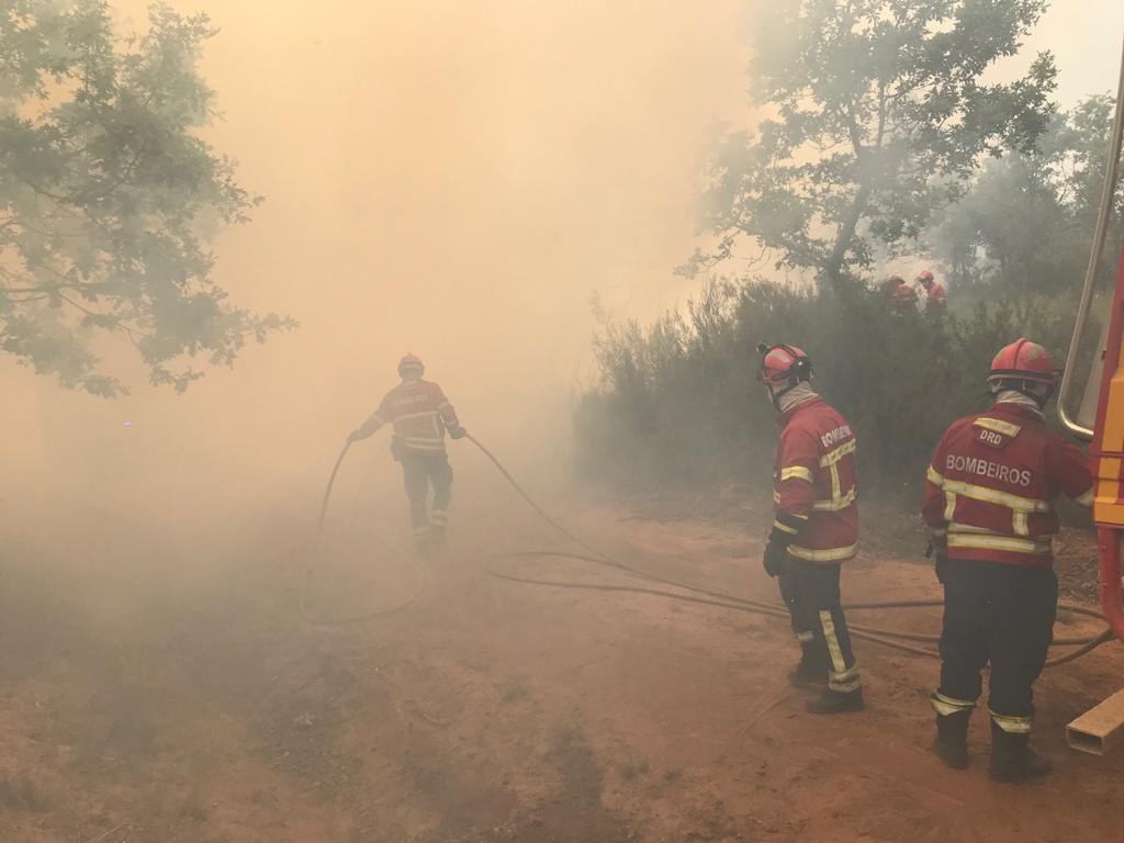 Incêndio em Zamora queimou 30 mil hectares de mato e encheu Bragança de fumo