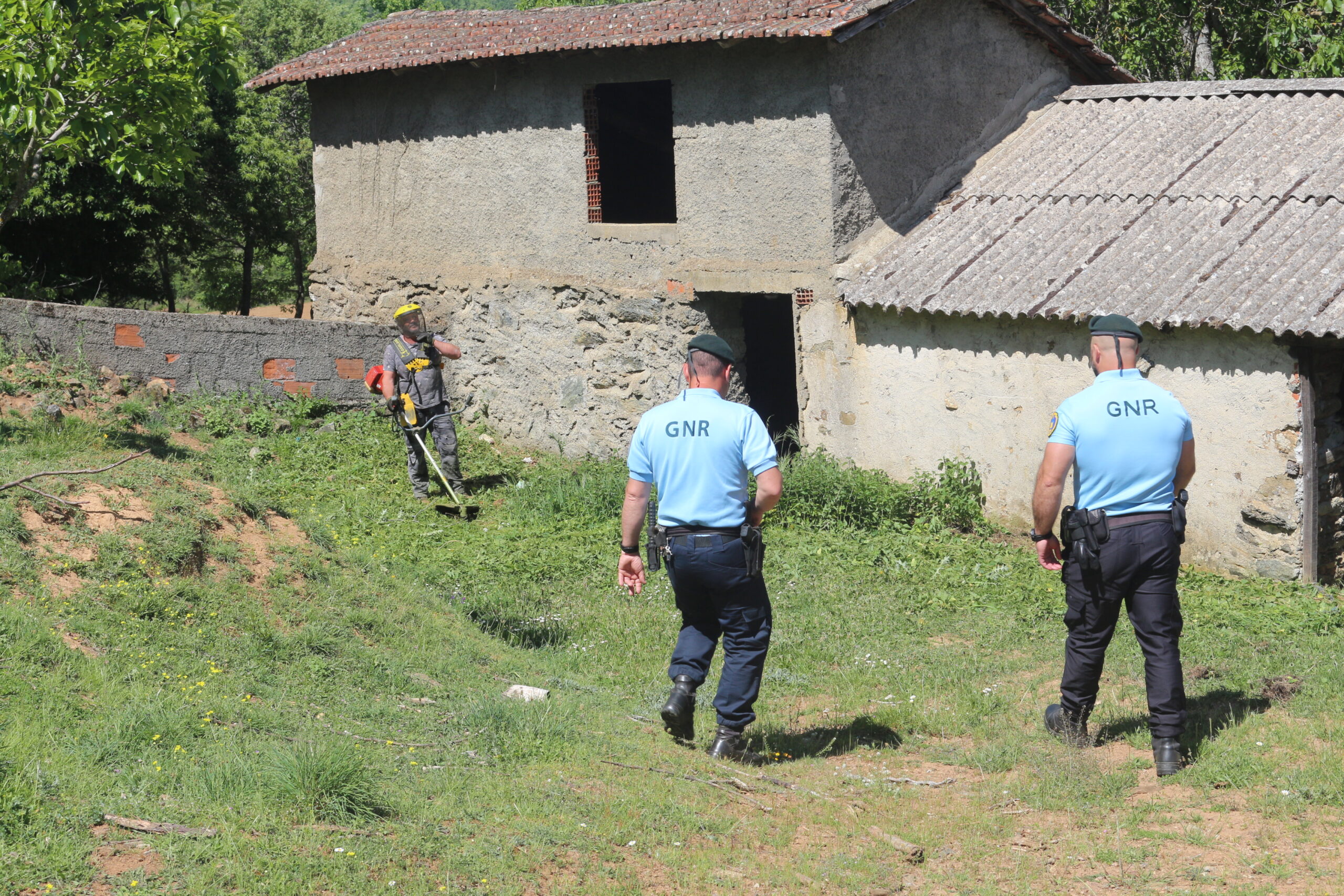 GNR já está a fiscalizar limpeza de terrenos mas população queixa-se das dificuldades