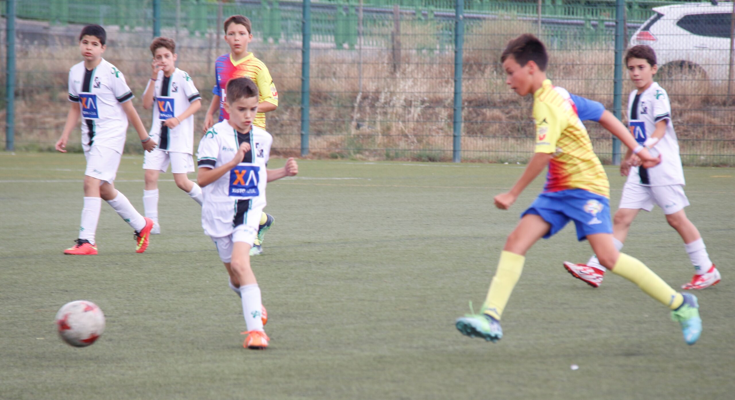 Cerca de 700 jovens jogadores confirmados para o “Mãe d´Água Cup”