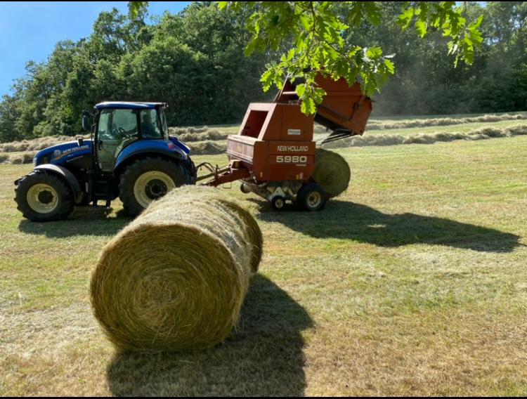 Agricultores asfixiados pelo preço do gasóleo agrícola dizem que actividade já não compensa