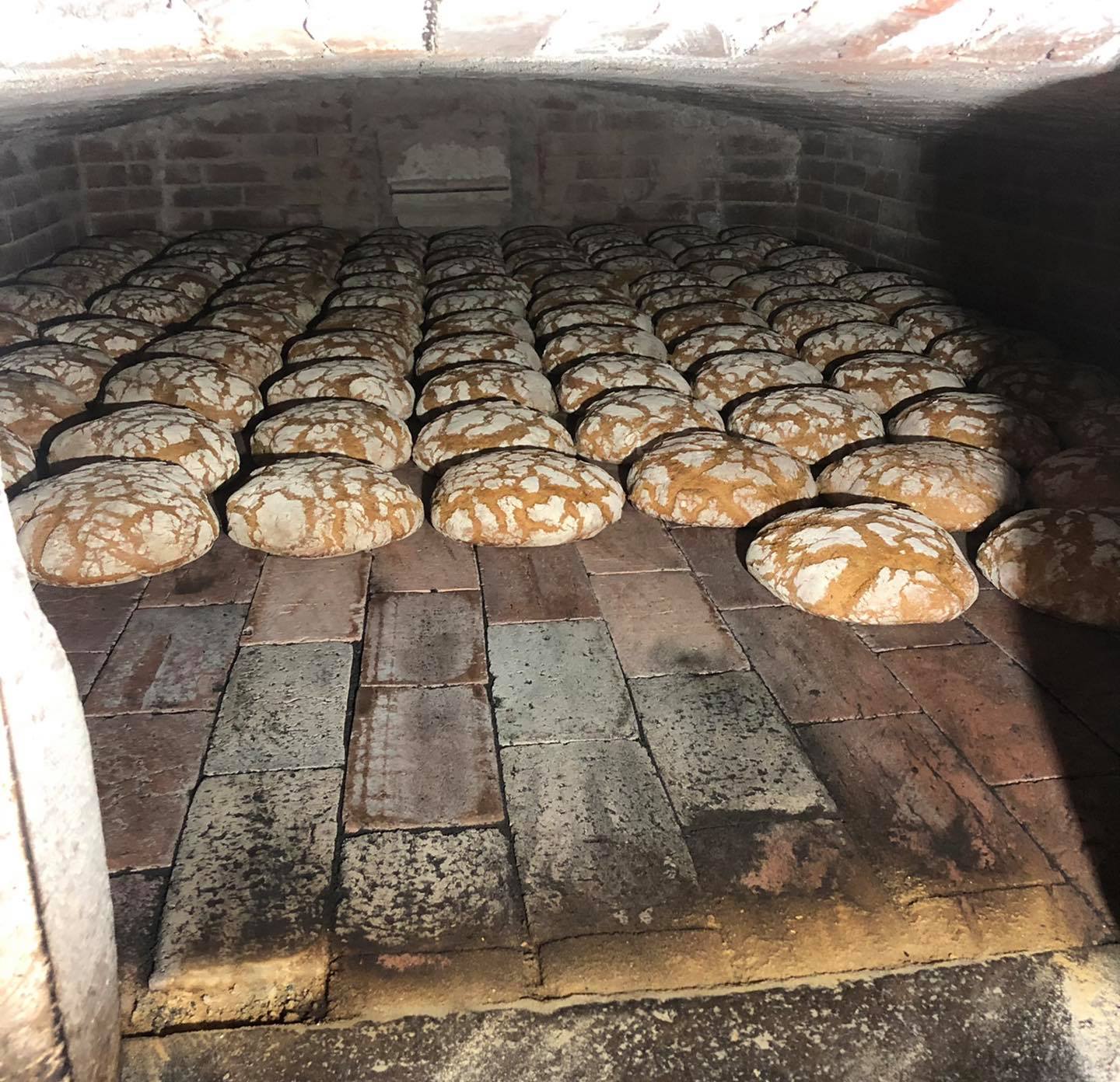 Com a chegada de 2024 o preço do pão voltou a subir