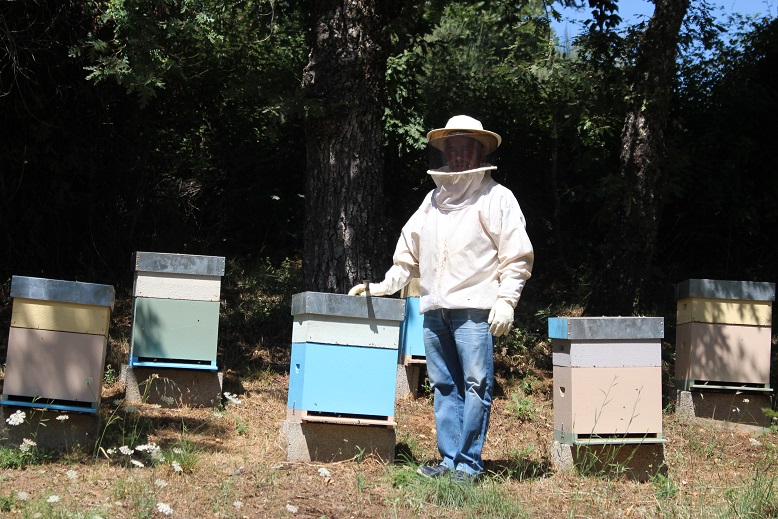 Primeiro apoio directo à apicultura é “bem-vindo” mas deixa de fora muitas colmeias