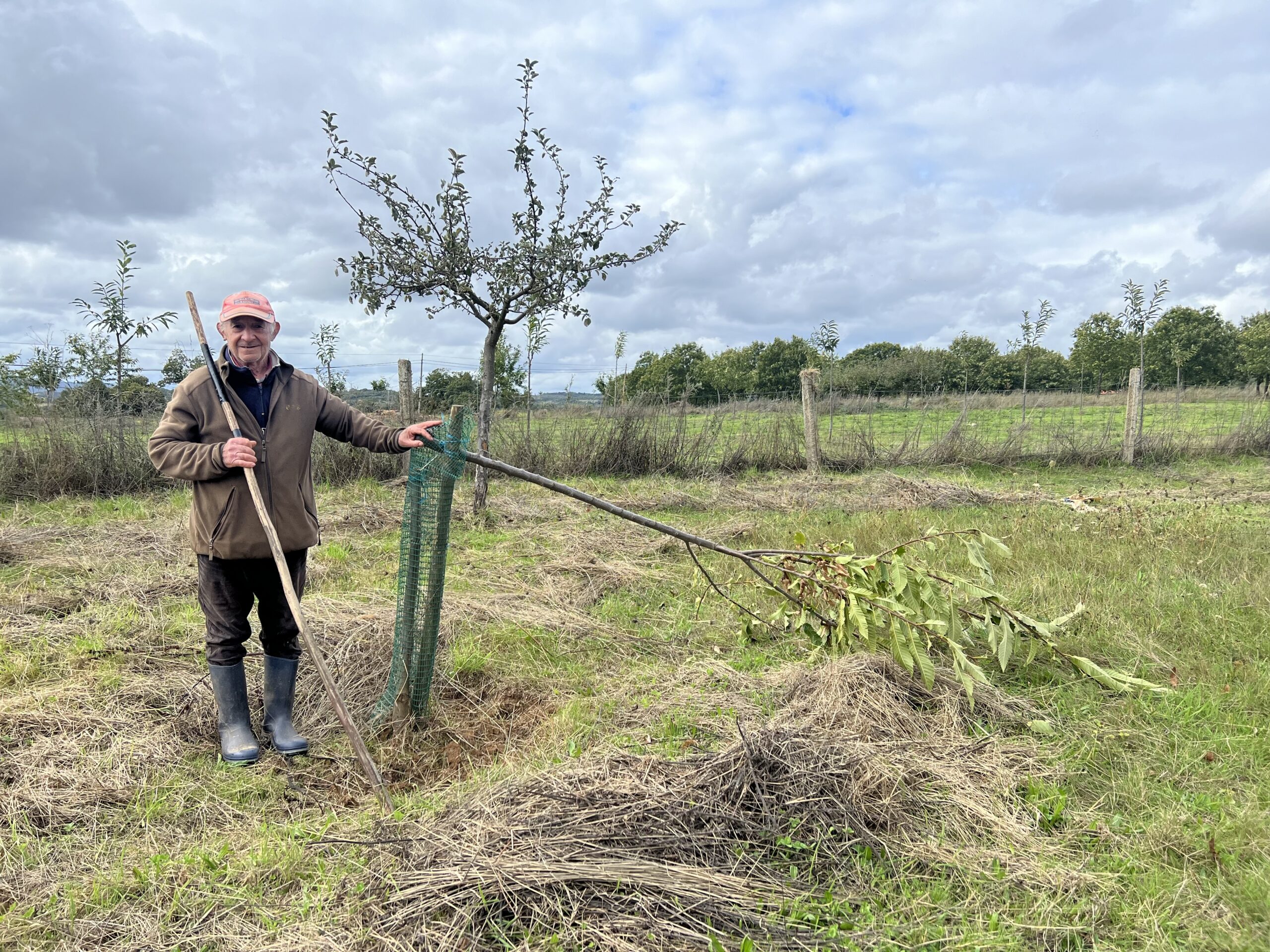 Mau tempo destrói culturas e deixa agricultores com prejuízos avultados