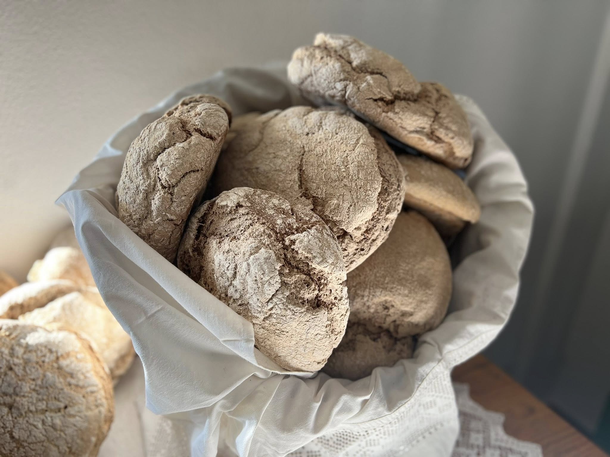 Jornada em Varge destaca potencial do trigo barbela