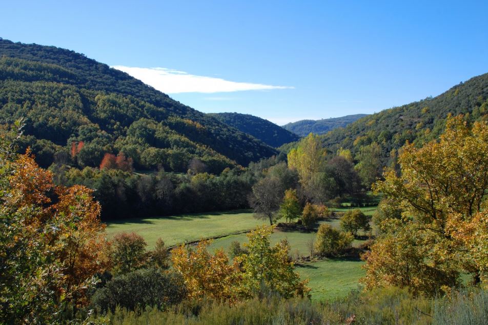 Município de Bragança lança concurso de 1,7 milhões de euros para “Preservar Montesinho”