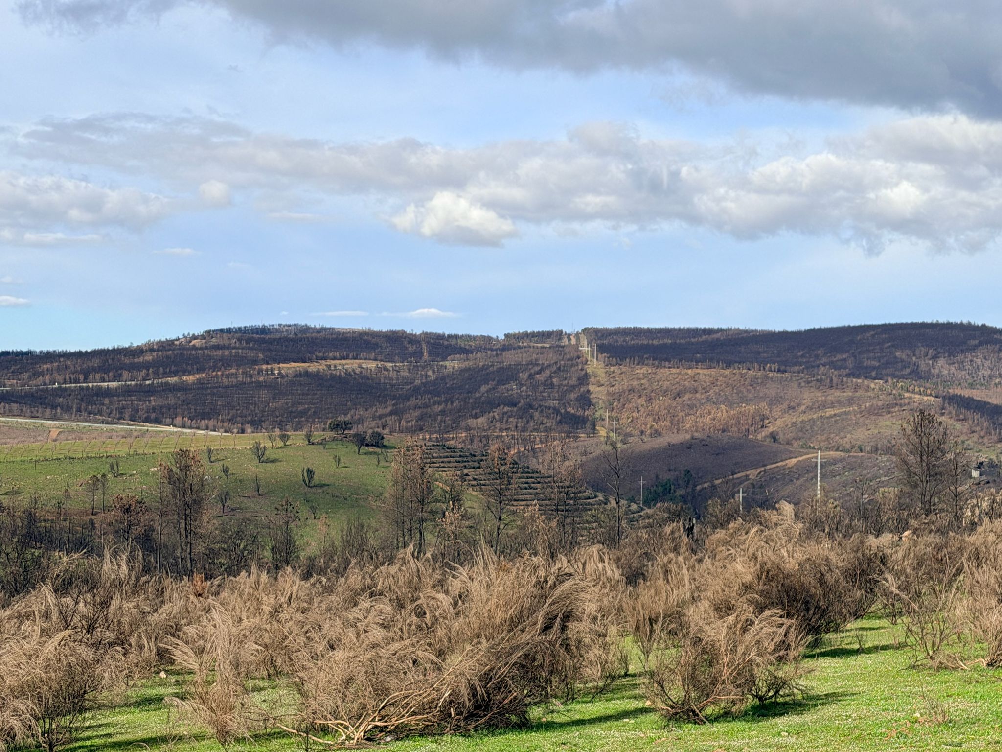 Agricultores de Freixo de Espada à Cinta afetados pelos incêndios já receberam 1,2 milhões de euros